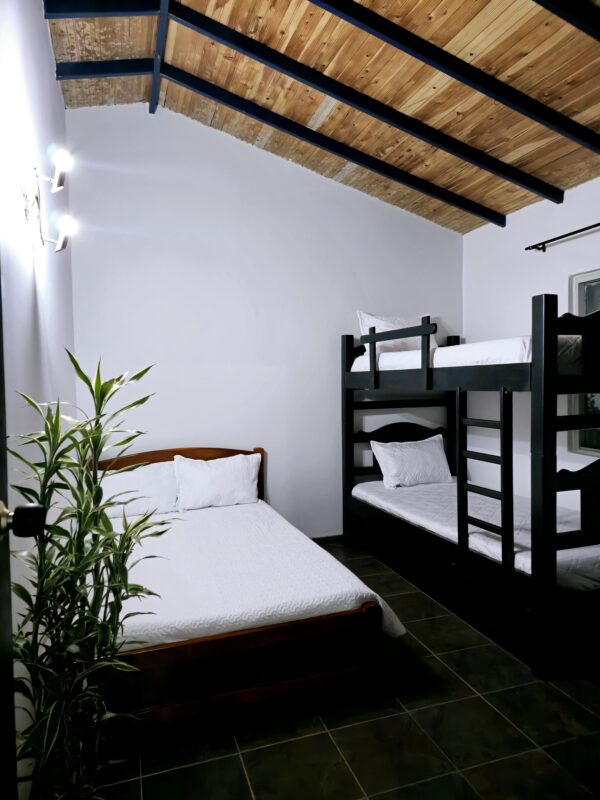 Finca Tierra nueva Casa 1. - Image 13