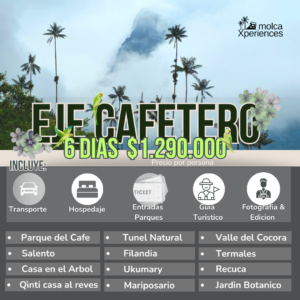Paquete Eje Cafetero MolcaXperiences 6