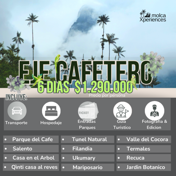 Paquete Eje Cafetero MolcaXperiences 6